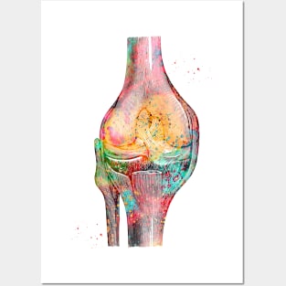 Knee bone Posters and Art